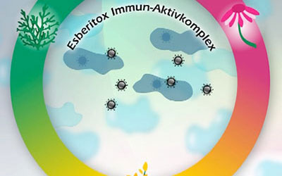 Esberitox Compact gegen Erkaeltung Esberitox Compact gegen Erkaeltung