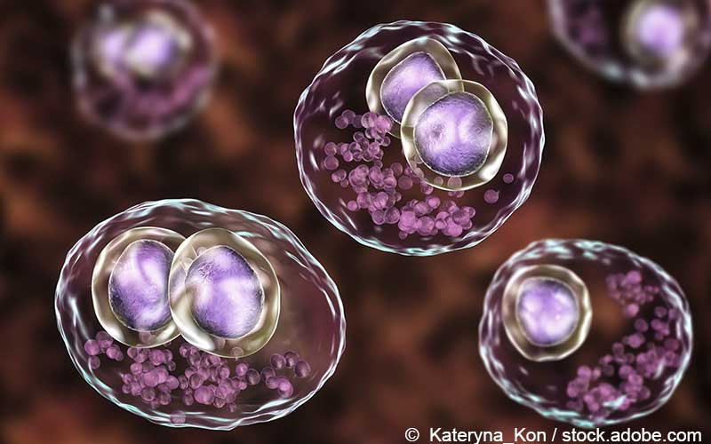 Cytomegalievirus Cytomegalievirus
