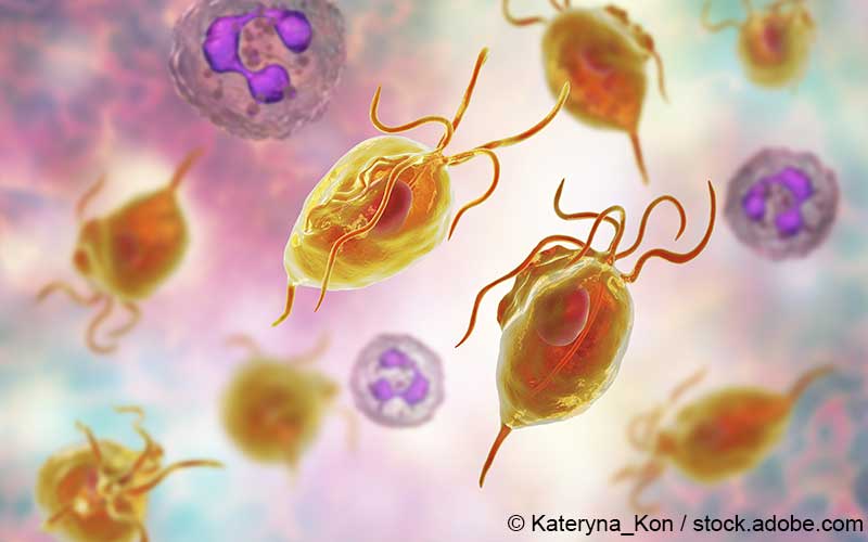 Trichomoniasis Trichomoniasis