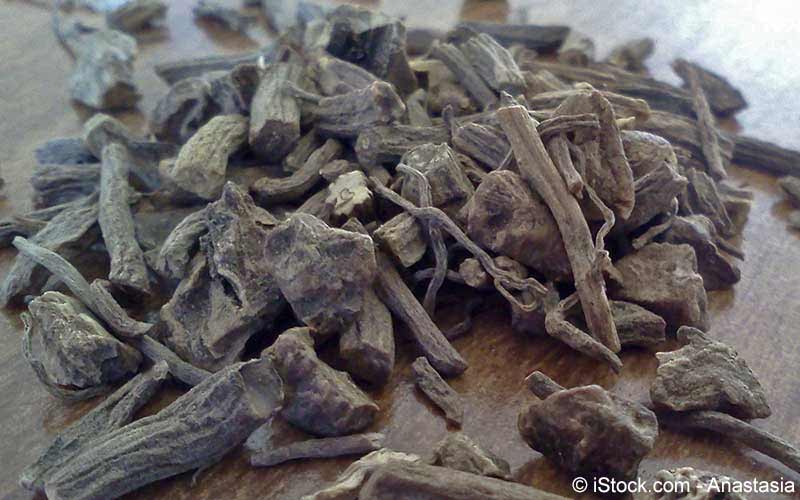 Baldrian (Valeriana officinalis) Baldrian (Valeriana officinalis)