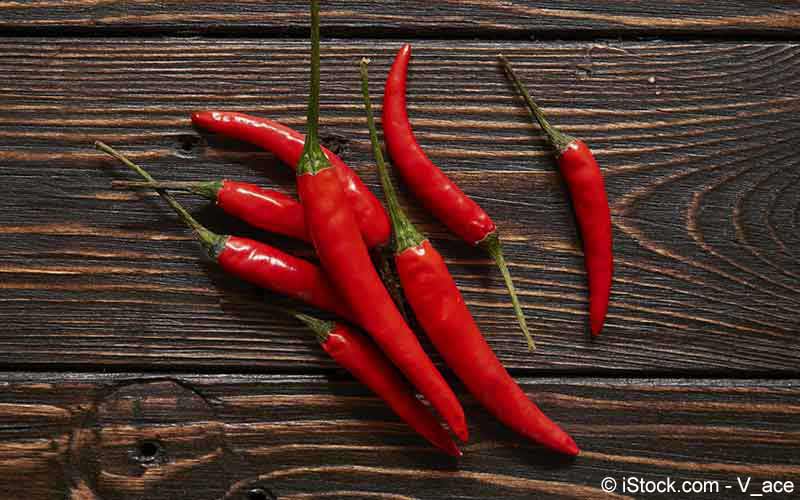 Cayennepfeffer Schoten (Capsicum frutescens) Cayennepfeffer Schoten (Capsicum frutescens)