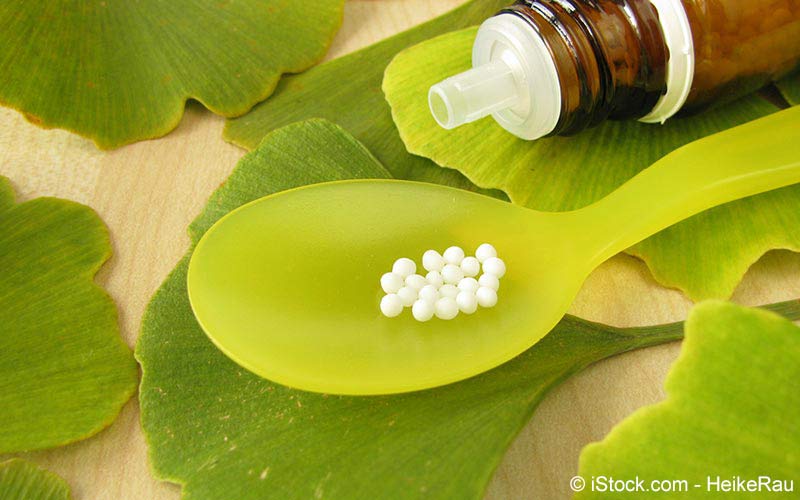 Ginkgo (Ginkgo biloba) Ginkgo (Ginkgo biloba)