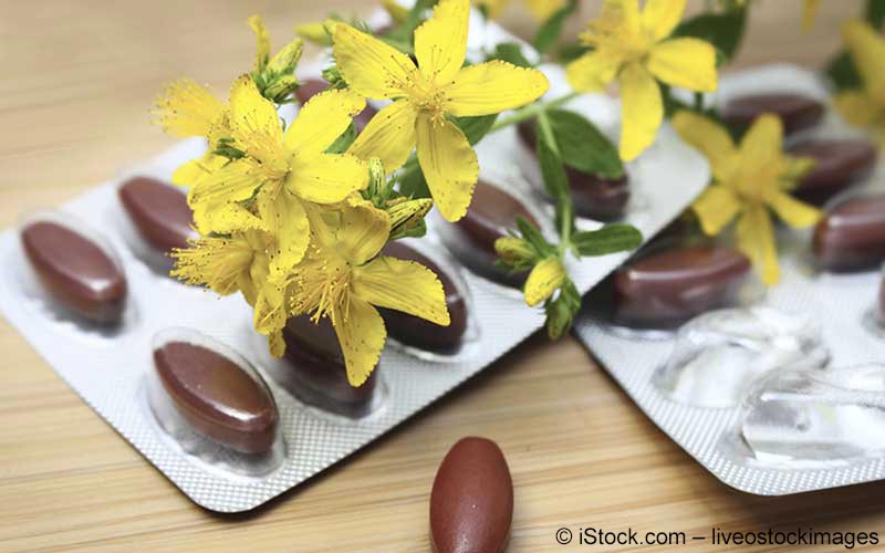 Johanniskraut (Hypericum perforatum) Johanniskraut (Hypericum perforatum)