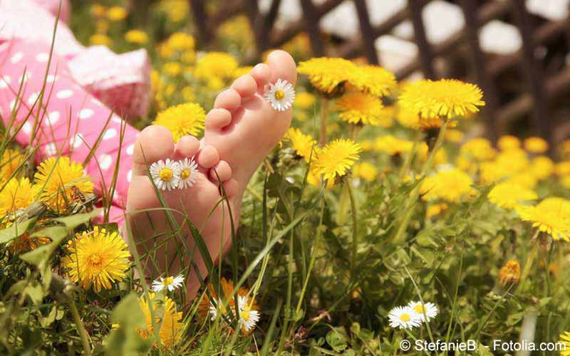 Entspannung zwischen Blumen Entspannung zwischen Blumen