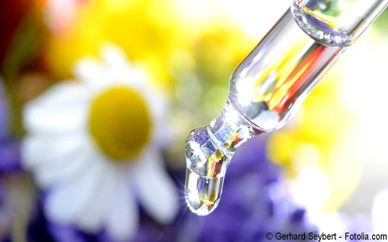 Bachblüten Bachblüten
